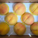 🍑대특과 8/9과 - 천중도(말랑) - 유명(딱딱) 선물용 전용박스 포장 이미지