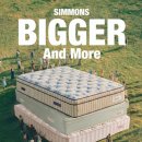 스마트동물병원 군자점 | 시몬스 침대 광진점 허리디스크 매트리스 어버이날선물 효도선물