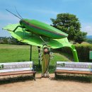 (주)동글컴퍼니 | [ 경주 여행 2일차 ] 비단벌레 전기자동차 탑승 후기 - 한 여름 아이와 함께하는 경주여행