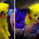 노란 몸에 빨간 볼 염색한 ‘피카츄 강아지’…‘동물 학대’ 논란 이미지