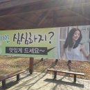 비디오서폿