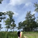 캠프해놀 | 개별샤워실 캠핑장 모음 - 알지캠프266 / 더본캠핑장 / 캠프해놀
