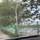 [캠핑] 평택 진위천 유원지 오토캠핑장 C구역 C70 후기(매점운영, 전자레인지, 반려견 가능 여부)