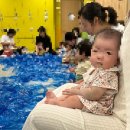 농부사랑 | 애기똥풀 '시원한 여름비와 나뭇잎 우산', '농부 아저씨의 팝콘 사랑' 후기(‘25 여름학기/대전터미널점)