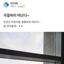 모로코로 국제결혼하러 간 블라인 이미지