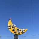 나경구이 | [신라의 달밤 포차 석가탑] 감포, 경주 조개구이 맛집 포차 후기 ♡ᵎᵎᵎ