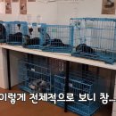 카페다름 이미지