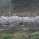 피아골주유소 이미지