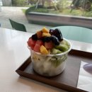 코하프루트&요거트