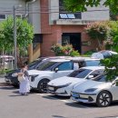 꽃 구경 갔다가 진드기를 덮어쓰고! - 경북 칠곡군 나즈막한 산을 넘어 구미 다온숲 수국밭으로~ 이미지