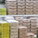 금란농장 이미지