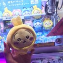 별별인형뽑기 이미지