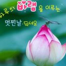 행복해질 개 이미지