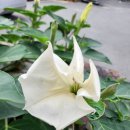 접실 경로당 네이버블로그