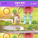 7월27일 이미지