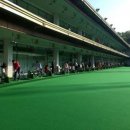 한양파인컨트리클럽 이미지