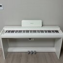 소스테누토 | ndp60 삼익 전자피아노 입문용 88건반 솔직 후기