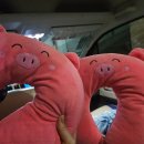 6032 | 트리쉐이드 오모캐팩 1박2일 내돈내산 후기 1편(오슬롭, 모알보알 스노쿨링, 준비물)