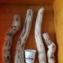 송담1로 이미지