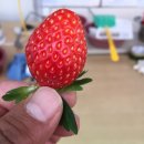 보개농협.가사동(보개하나로마트) 이미지