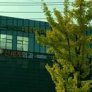 손덕희마취통증의학과의원 이미지