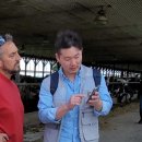 유라이크 이미지