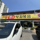 이미견 밥엔 낙지볶음 이미지