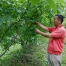 안동2리 이미지