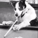 빌리아드 이미지