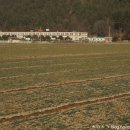 고흥풍양중학교 이미지