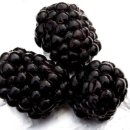 우신 행정사 사무소 이미지