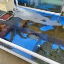 수산물직판장(3호) 이미지