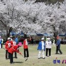 게이트볼 이미지