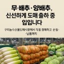 농수산물도매시장 채소1동_1 이미지