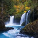 숲속풍경 이미지