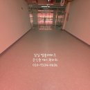 감일현대약국 이미지