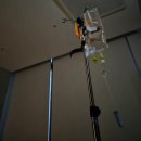 천사동물약국 | 만29세의 난임기록(시험관 시술 난자 채취부터 졸업까지👶🏻)