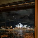 아오로하우스(aoro house) | 시드니 여행 일정 공유, 맛집 예약하기 (7박 9일 여행 계획)