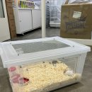 봉곡동284 이미지