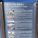 [와우정사]용인데이트로 절 방문 후 알렉스더커피 용인점에서 커피한잔