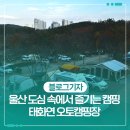 태화연 야영장 2 | 울산 도심 속에서 즐기는 캠핑 태화연 오토캠핑장