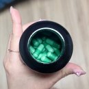 초록비타민 | 초록비타 비타민B3 영양제 후기 ㅣ 피로 회복 효과