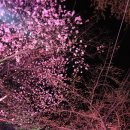 고려궁지 이미지