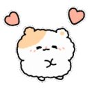 코코로팡 이미지