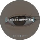 글램아이 - 용인시 수지구 | 글램아이