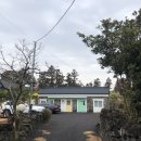 하귤민박 이미지