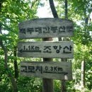 늘재