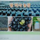 금평 농장 이미지