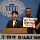 대한농자재 농민신문