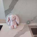 탄방동 오피스텔 신축공사 | 🧹 영등포 당산 디마크 오피스텔 입주청소 후기 (신축 분진 완벽 제거)